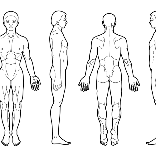 body-diagram-for-professional-massage-chart-front-back-left-and