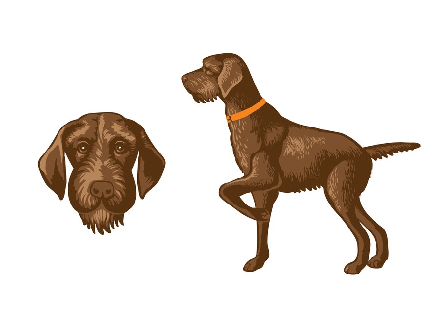 Pudelpointer | Character or mascot contest